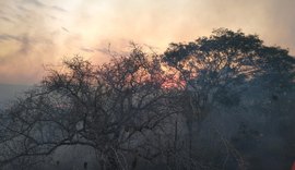 Incêndio de grandes proporções é registrado no município de Cacimbinhas