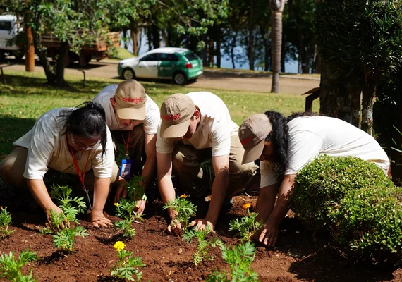 Cooperativas constroem cidades mais sustentáveis e inclusivas
