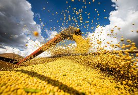 Produção de grãos atinge recorde e tem alta de 18,4% em 2022/2023