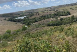 Cooperativa Pindorama recupera acessos a linhas de crédito após resolução de impasse ambiental em Alagoas