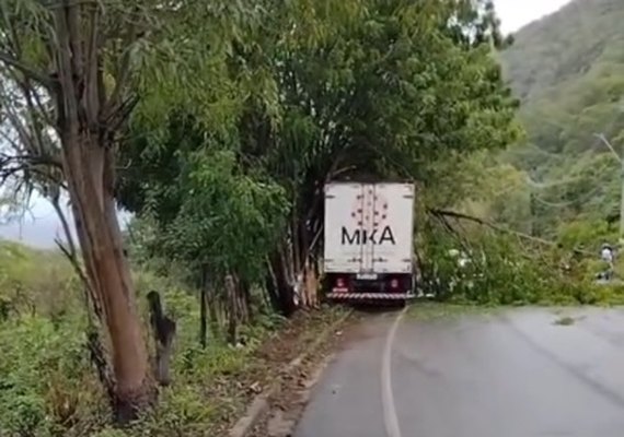 Motorista perde controle de caminhão na pista molhada e colide com árvore em AL