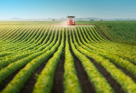 Projeto transforma vida dos produtores rurais de Alagoas