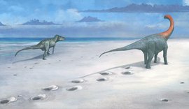 Descoberta na Inglaterra revela a trilha mais longa de dinossauros de 166 m