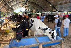 Expo Bacia é considerada a maior exposição da pecuária leiteira de Alagoas