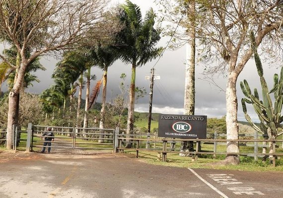 IBC estreia novas instalações do recinto de leilões