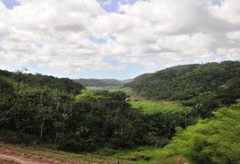 AL é o 2º estado que menos desmata Mata Atlântica no País