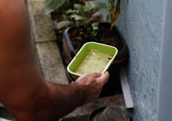El Niño pode elevar casos de chikungunya e dengue no Brasil