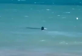 Pescador de 52 anos morre afogado na Praia de Ipioca