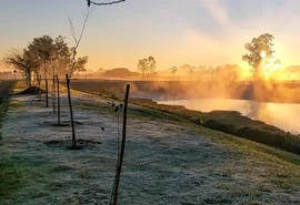 Frente fria chega e levará temperatura para abaixo de 0°C; veja onde