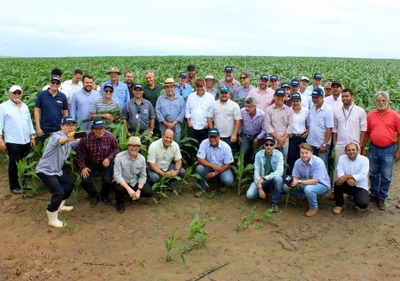 AL: IBGE prevê aumento de 10,6% na safra de cereais, leguminosas e oleaginosas