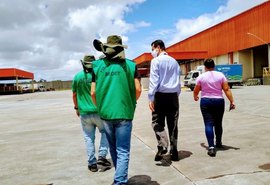 Prefeitura de Maceió registra quase 400 processos ambientais em 2021