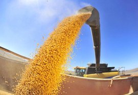 Safra de grãos fecha 2019 com recorde de produção