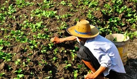 Ministro de Lula diz que governo retomará reforma agrária