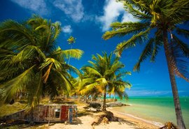 Área da Praia do Patacho terá novo ordenamento