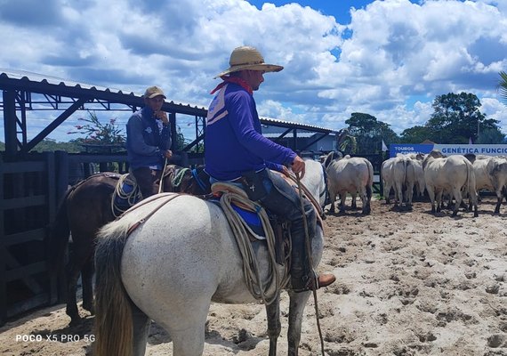 Tudo pronto para o 2° Leilão Excelência Santa Nazaré