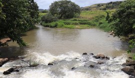 Preservação ambiental e sustentabilidade: o compromisso do setor sucroenergético de Alagoas