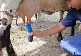 Assistência técnica da CPLA garante qualidade leiteira