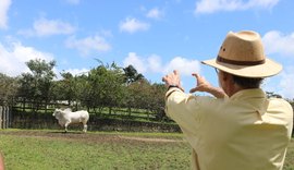 Seleção do Leilão Nelore Barros Correia foca na elite genética da safra IBC