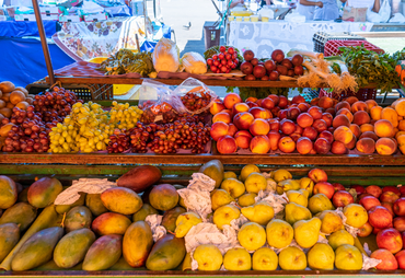 Bioinsumos reforçam eficiência no manejo da fruticultura brasileira