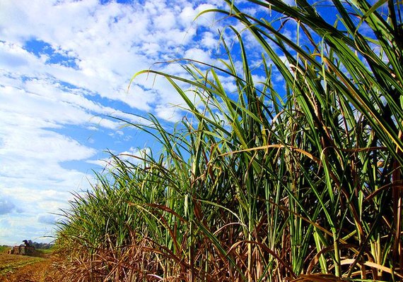 Primeiro ATR de 2021 tem aumento de 3,6%