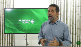 Assista ao Alagoas rural na íntegra - 26/04/2026