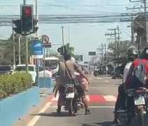 Homens são flagrados levando porco vivo em moto em Belford Roxo