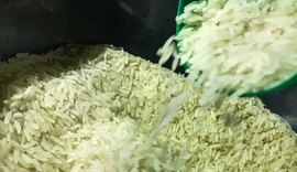 Governo libera mais R$ 6,7 bi para garantir arroz a preço justo no prato