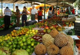 Arapiraca antecipa feiras livres acontecem neste domingo (28)