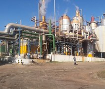 Quatro usinas já finalizaram a safra em Alagoas