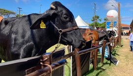 Expoagro 2021 fatura R$ 20 milhões e bate recorde