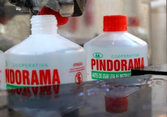 Pindorama lança novas versões de álcool no mercado