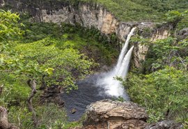 Seis em cada dez brasileiros já visitaram algum parque natural do país
