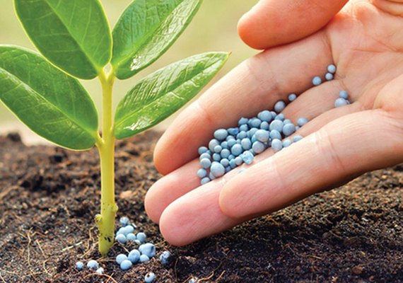 Fertilizantes com microplásticos devem ser proibidos, diz grupo