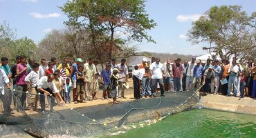 Uso de água salobra pode ampliar produção no Semiárido
