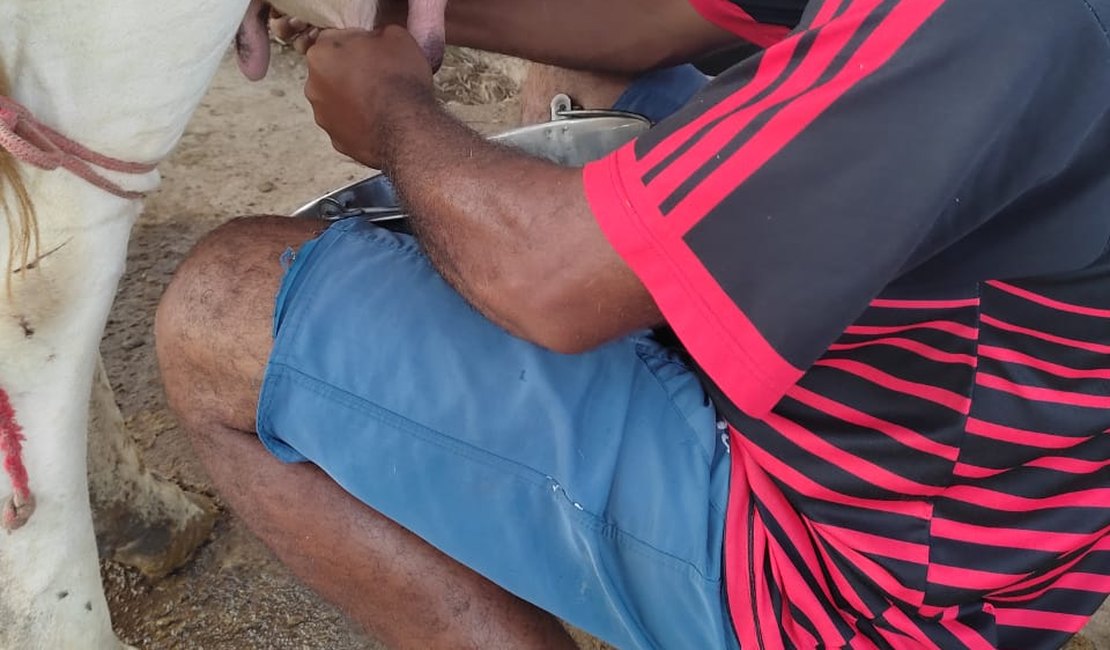 Contratações da agricultura familiar crescem 12,4% em 2025 e somam R$ 10,7 bi