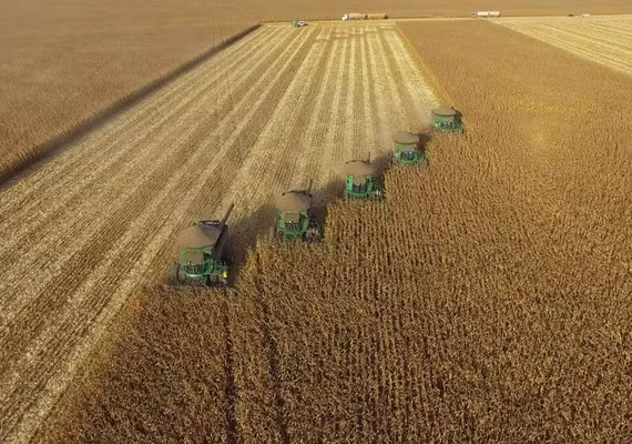 Produção de milho no Brasil deve crescer para 128 milhões de toneladas em 2024/25