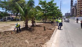Desenvolvimento Sustentável inicia coleta seletiva de coco na orla de Maceió
