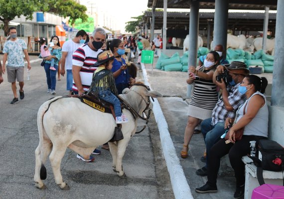 Expoagro/AL levará experiências do campo para a cidade