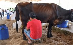 Expo Bacia Leiteira 2025