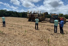Técnicos de Pindorama fazem intercâmbio em usina alagoana para aprofundar uso da fertirrigação