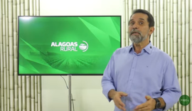 Assista ao Alagoas Rural na íntegra 18-01-26