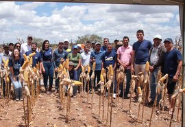 Dia de campo mostra resultados de produtor da CPLA com uso de biotecnologia do Prospera