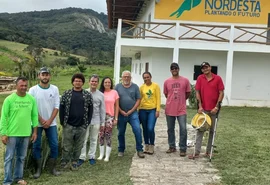 Nova própolis descoberta em Alagoas pode revolucionar tratamento anti-inflamatório