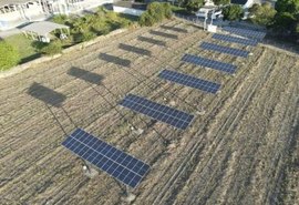 Ufal desenvolve projeto que combina energia solar para impulsionar cultivo de cana