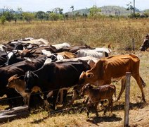 PL destina R$ 524 milhões ao Proagro, mas risco de falta de recursos continua