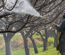 STF derruba regras que reduziam controle de qualidade de agrotóxicos