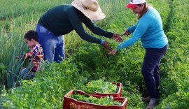 Presidente sanciona projeto que institui o Programa de Aquisição de Alimentos e o Cozinha Solidária