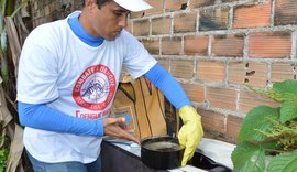 Secretaria pede que municípios intensifiquem ações contra o aedes aegypti