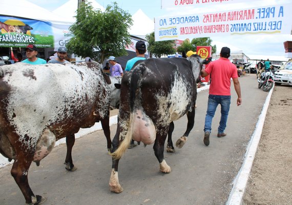 Lançamento oficial da 40ª Expo Bacia acontece dia 19