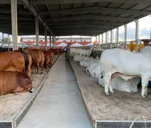 Expoagro Alagoas é oportunidade de investimento em genética e negócios da pecuária